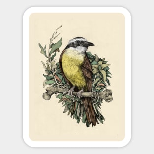 Bichofue Bird Art Sticker
